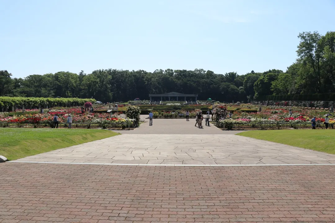 神代植物公園のばら園と周囲の園路