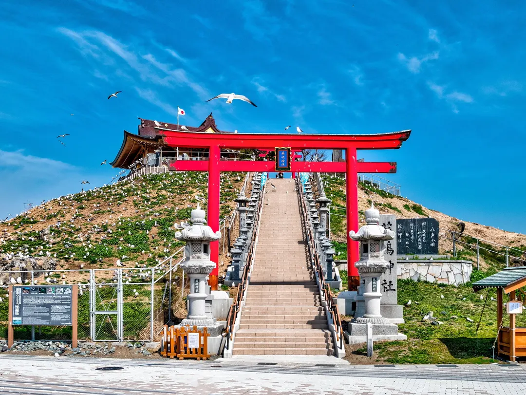 蕪嶋神社の実写写真。訪問前のイメージ確認用。