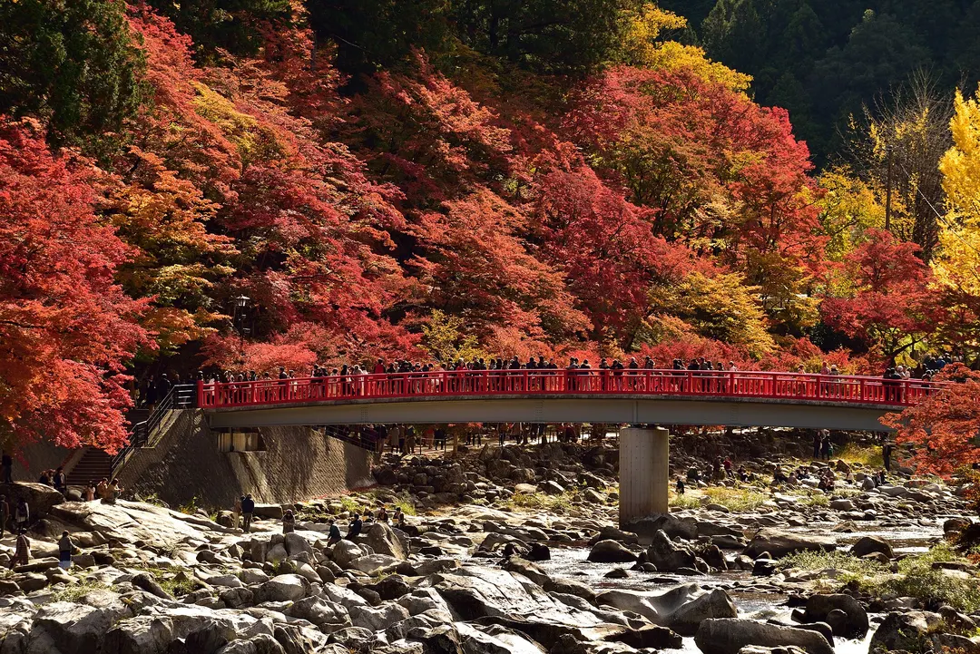 香嵐渓の実写写真。訪問前のイメージ確認用。