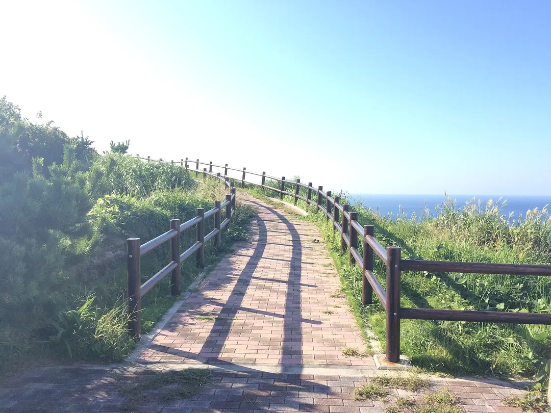星空観察の下見で確認したい、神津島・ありま展望台へ続く日中の遊歩道(実写写真)