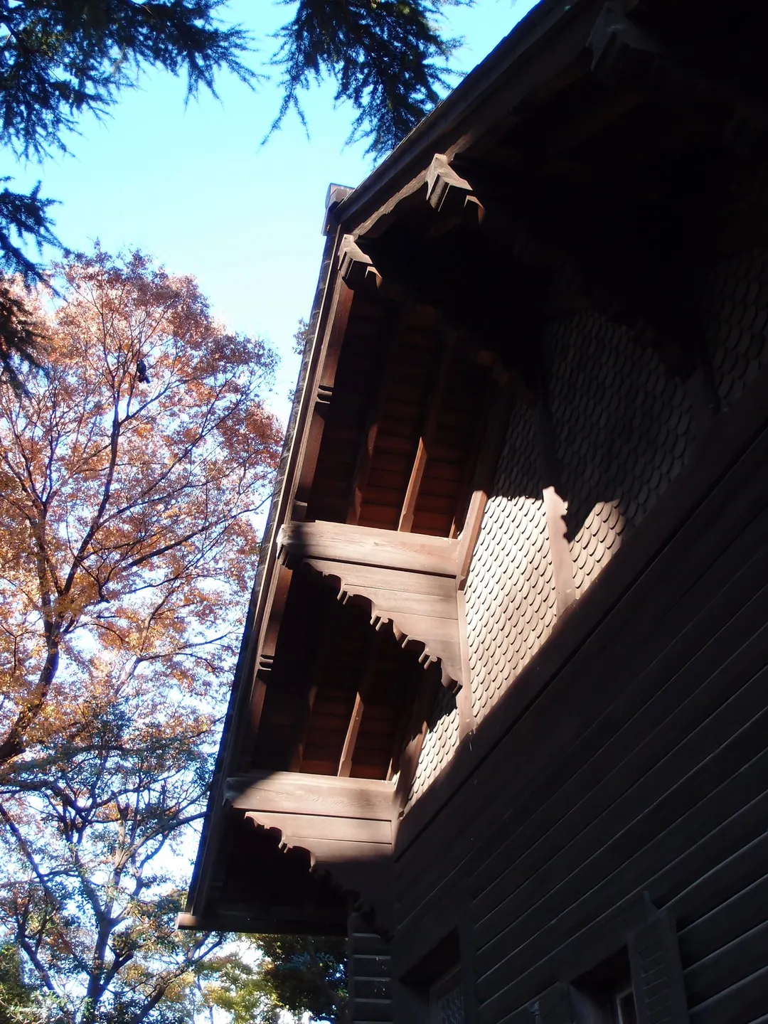 旧岩崎邸庭園の撞球室の木造外壁と軒の細部
