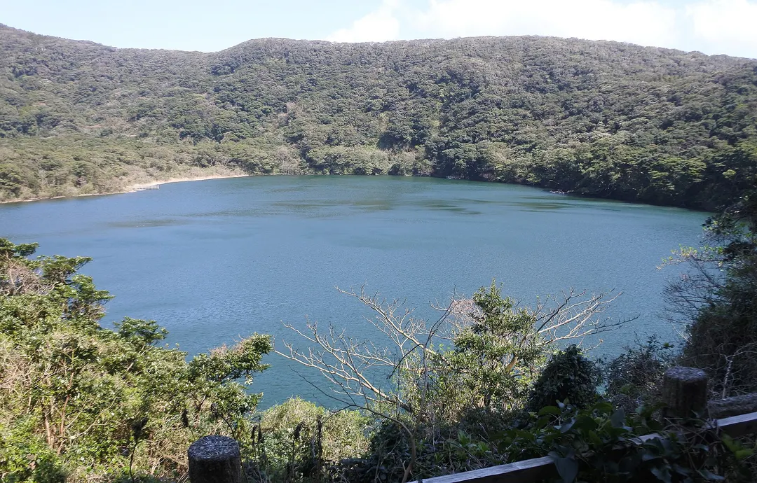 三宅島 大路池の実写写真。訪問前のイメージ確認用。
