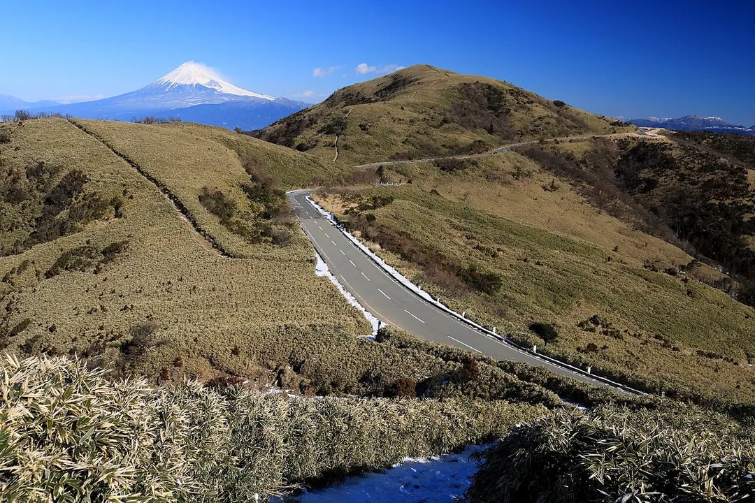 古稀山側から見る達磨山と富士山、雪の残る稜線(2017年2月撮影)