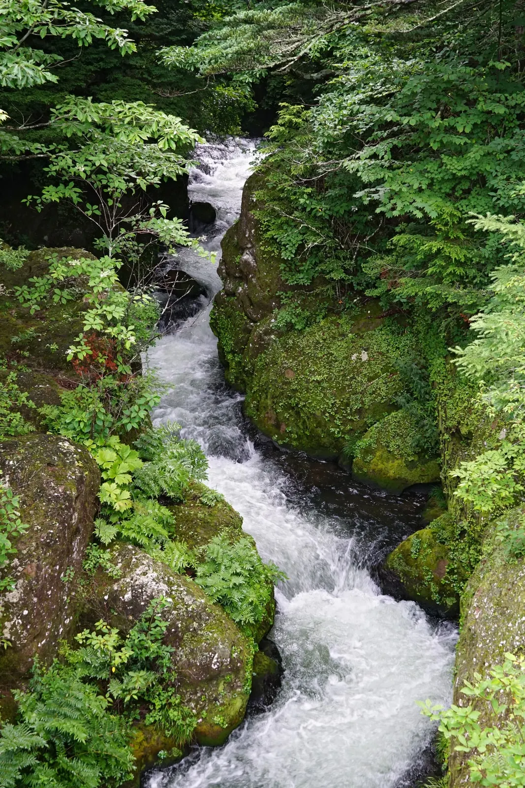 竜頭ノ滝の上側で岩肌に沿って流れる湯川(2020年7月撮影)