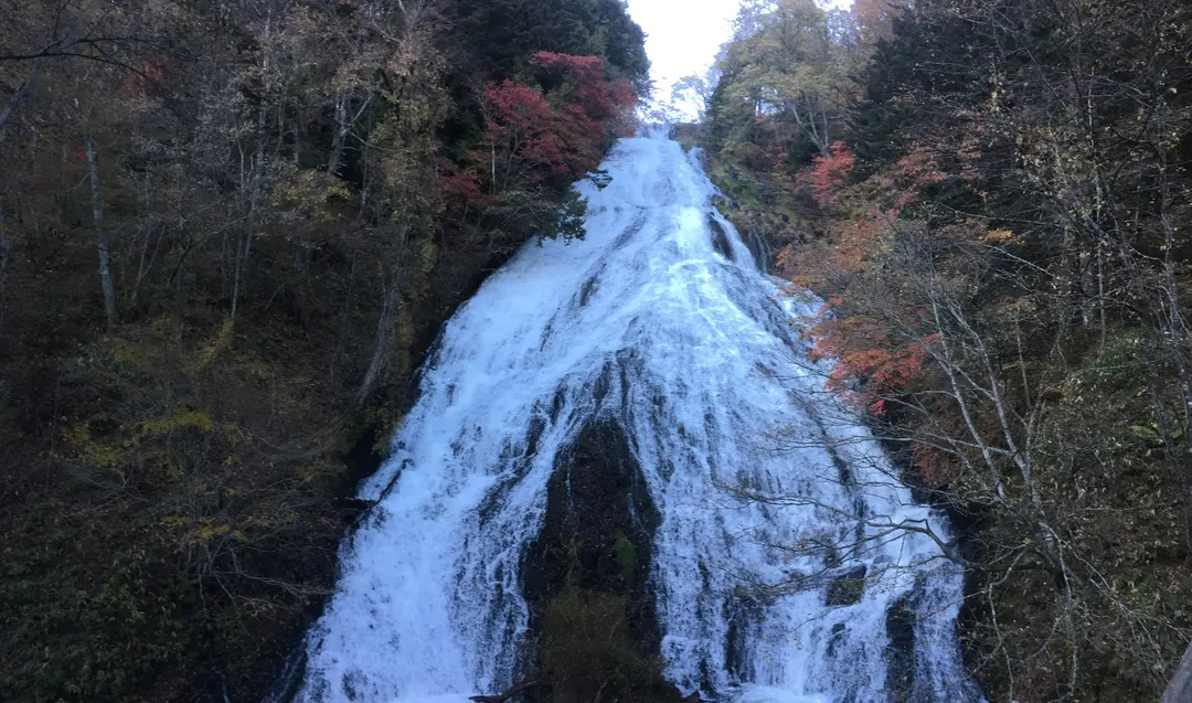 秋の木々を背に岩壁を流れ落ちる湯滝(2021年10月撮影)