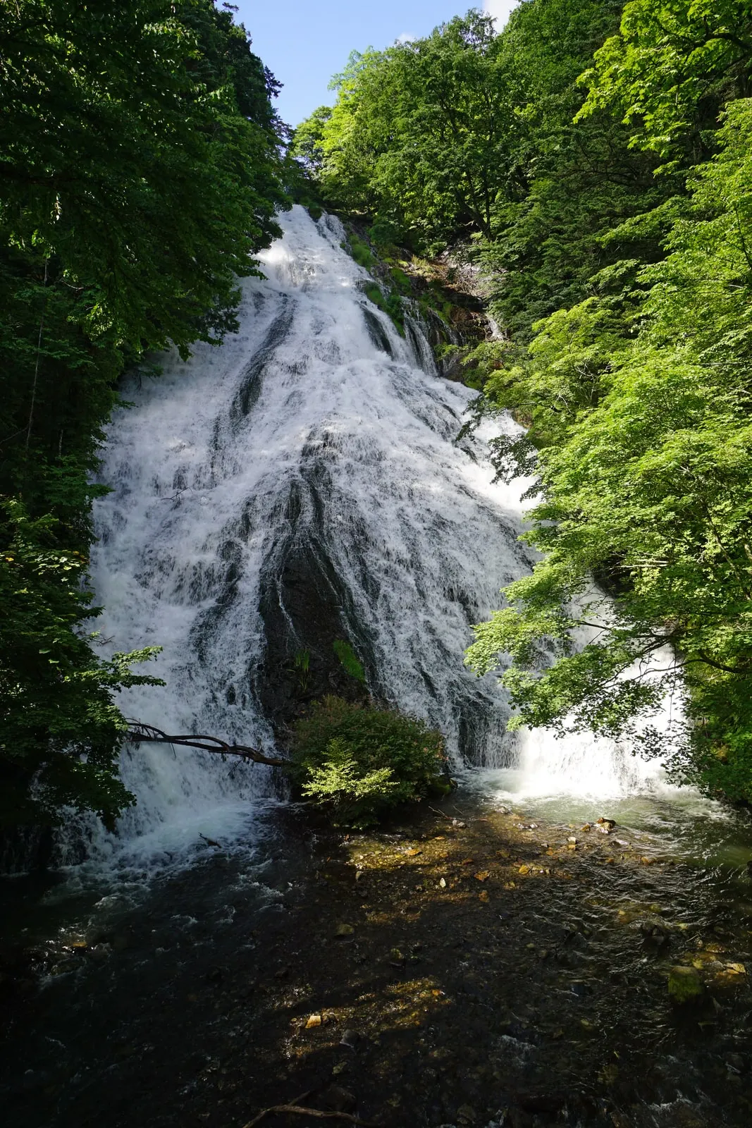 夏の緑に囲まれた湯滝を下部から見上げる景観(2020年7月撮影)