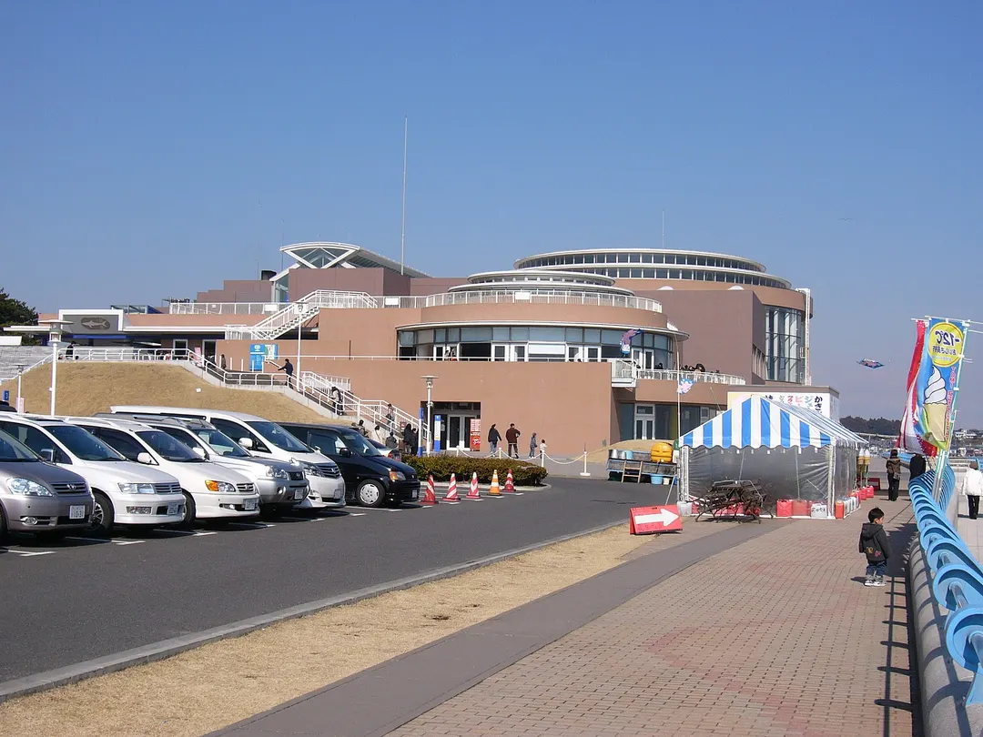 アクアワールド茨城県大洗水族館の実写写真。訪問前のイメージ確認用。