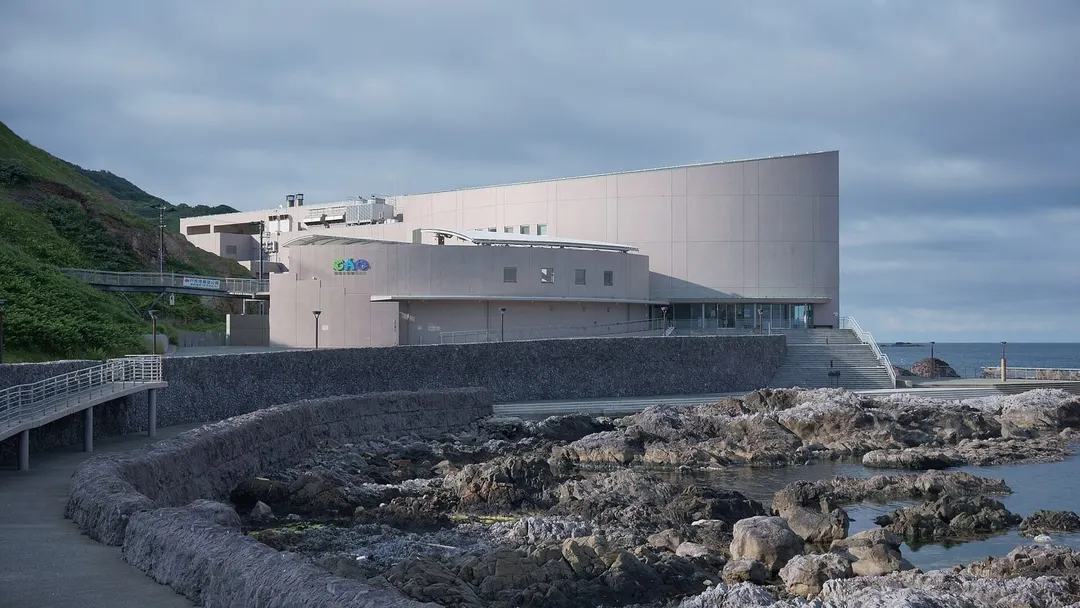 男鹿水族館GAOの実写写真。訪問前のイメージ確認用。