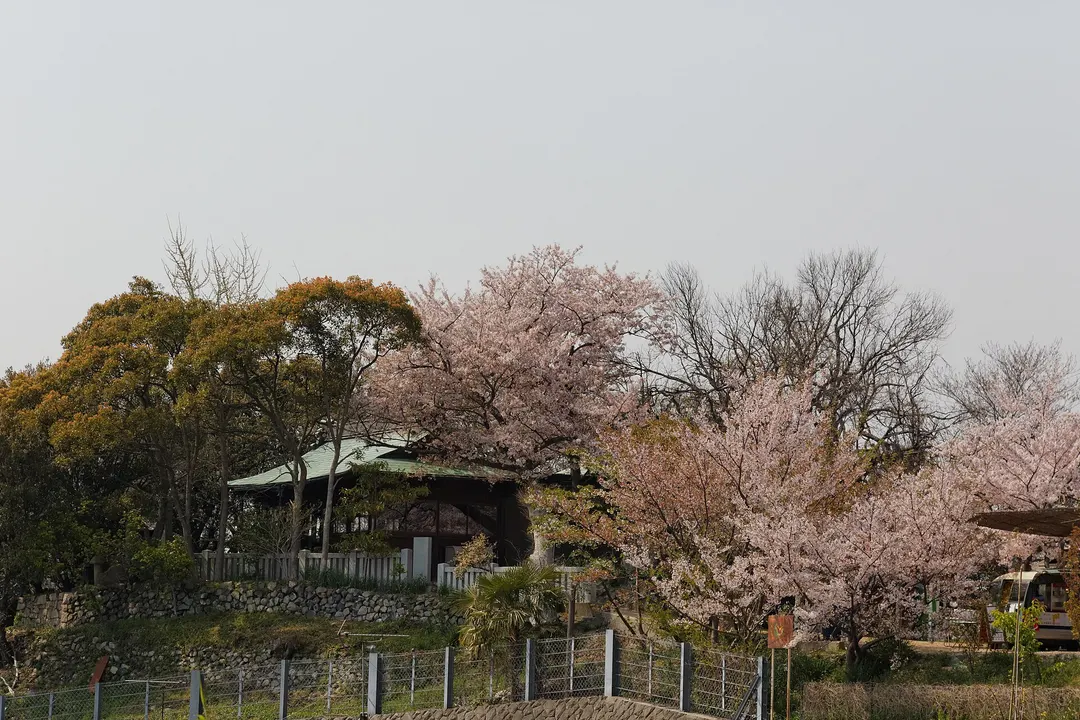 豊玉姫神社の実写写真。訪問前のイメージ確認用。