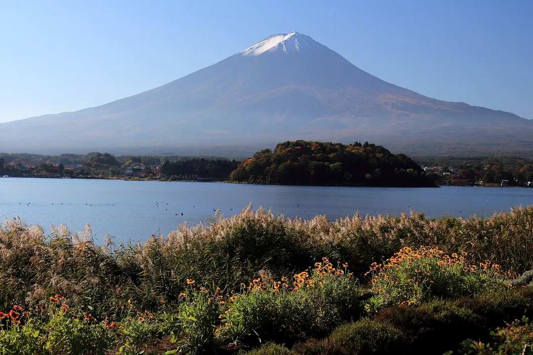 大石公園の花壇越しに河口湖と富士山を望む実写写真