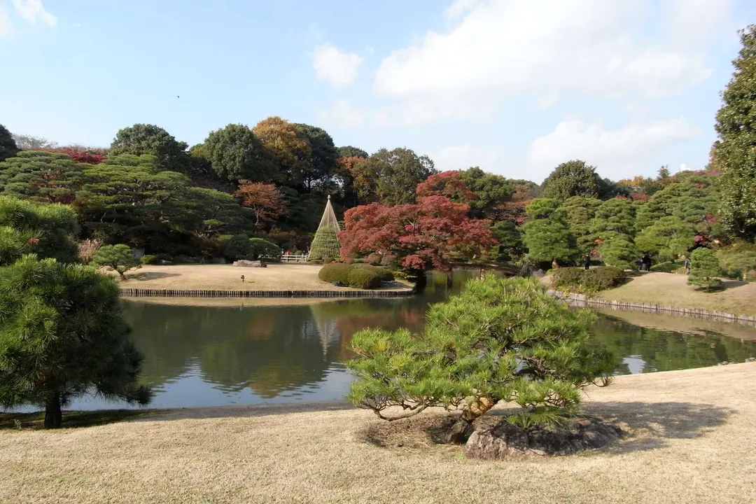 六義園の大泉水と中の島、秋の庭木