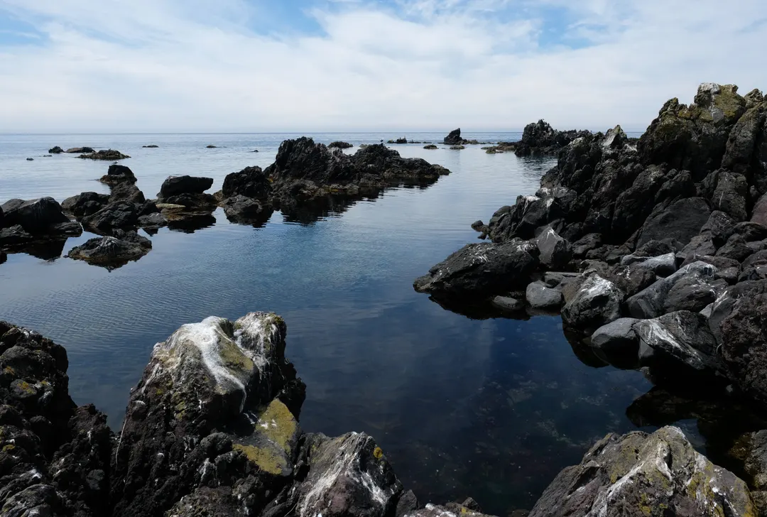 仙法志御崎公園の海岸に広がる黒い溶岩と澄んだ潮だまりを写した実写写真