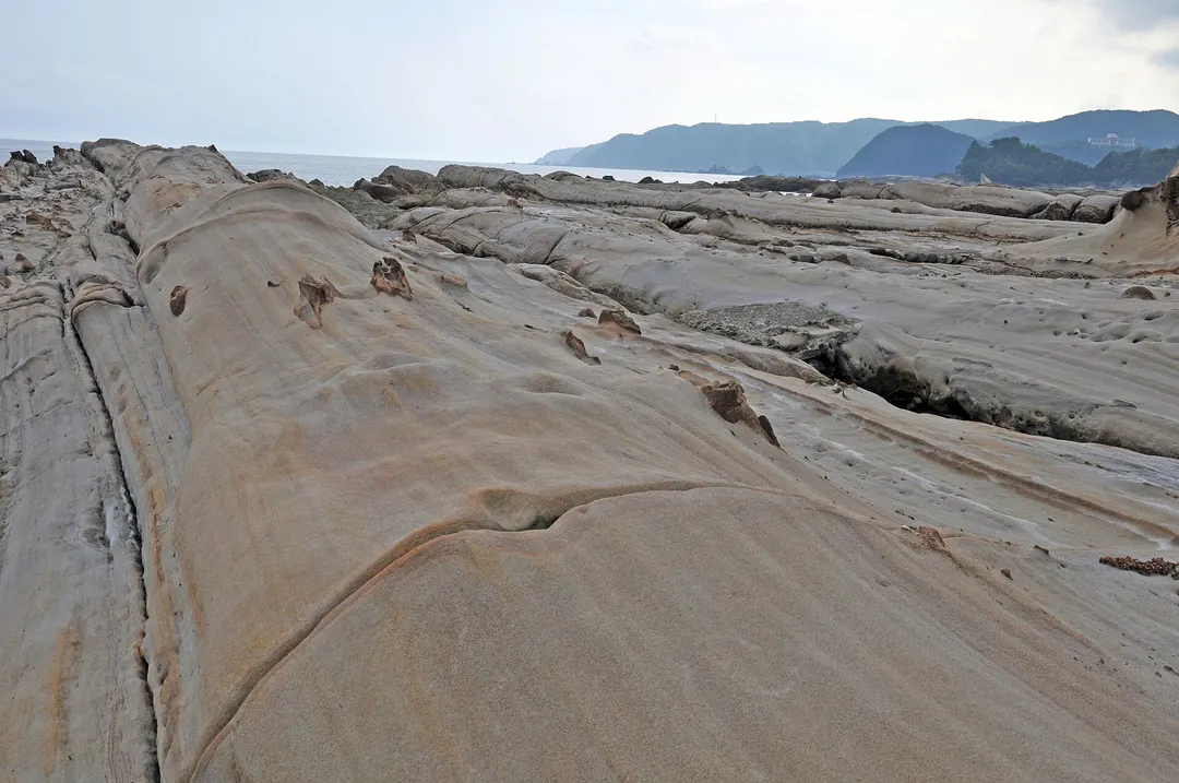 竜串海岸に広がる層状の砂岩と太平洋を写した実写写真