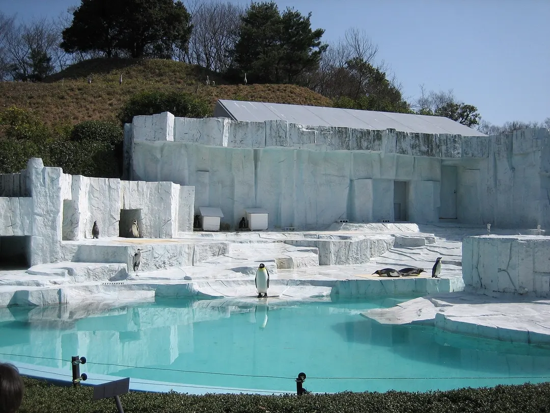 とべ動物園のペンギン展示と水面。2006年3月撮影の過去の展示風景