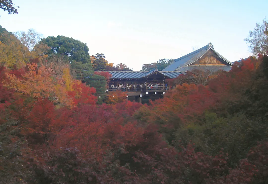 紅葉に囲まれた東福寺の通天橋を写した実写写真