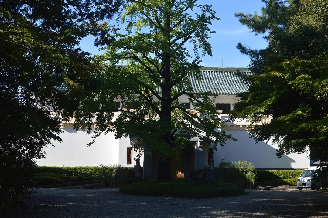 木立越しに徳川美術館の旧本館を写した実写写真