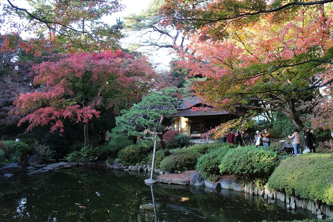 東京都庭園美術館の日本庭園の池と紅葉