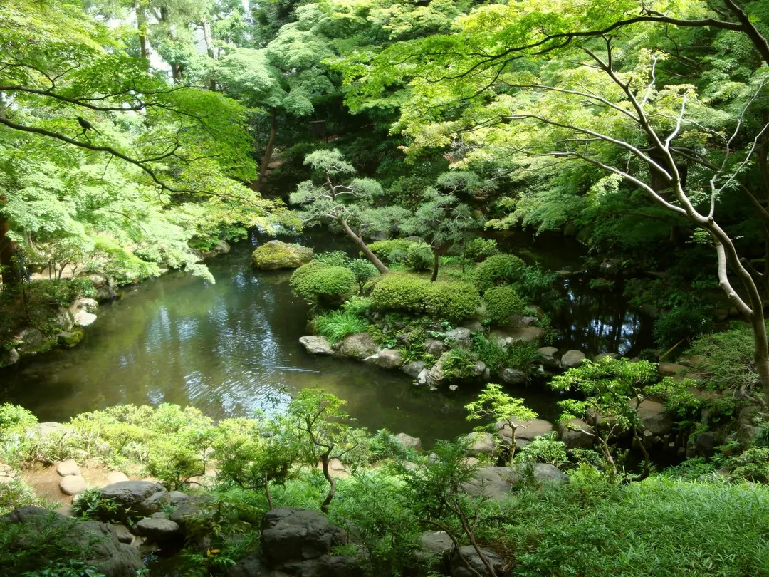 殿ヶ谷戸庭園の林に囲まれた池