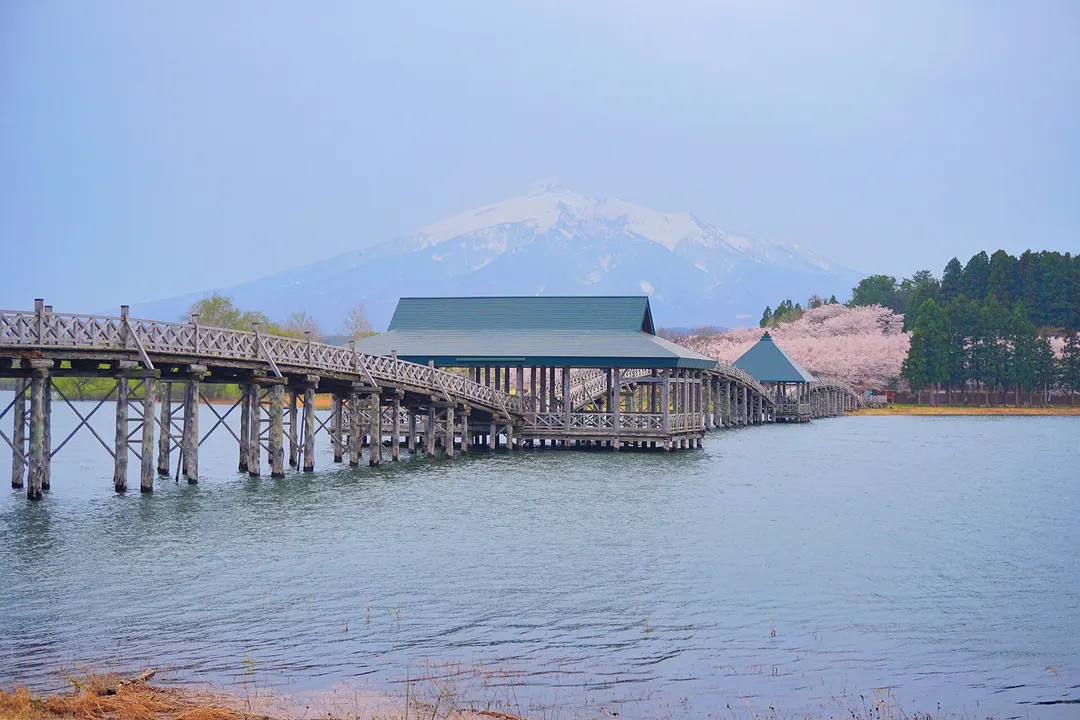 津軽富士見湖に架かる鶴の舞橋と残雪の岩木山を写した実写写真