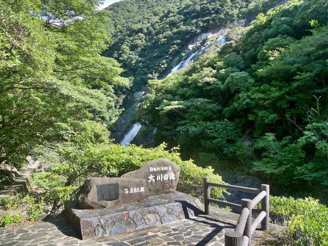 屋久島の照葉樹林に囲まれた大川の滝が岩壁を流れ落ちる様子を写した実写写真