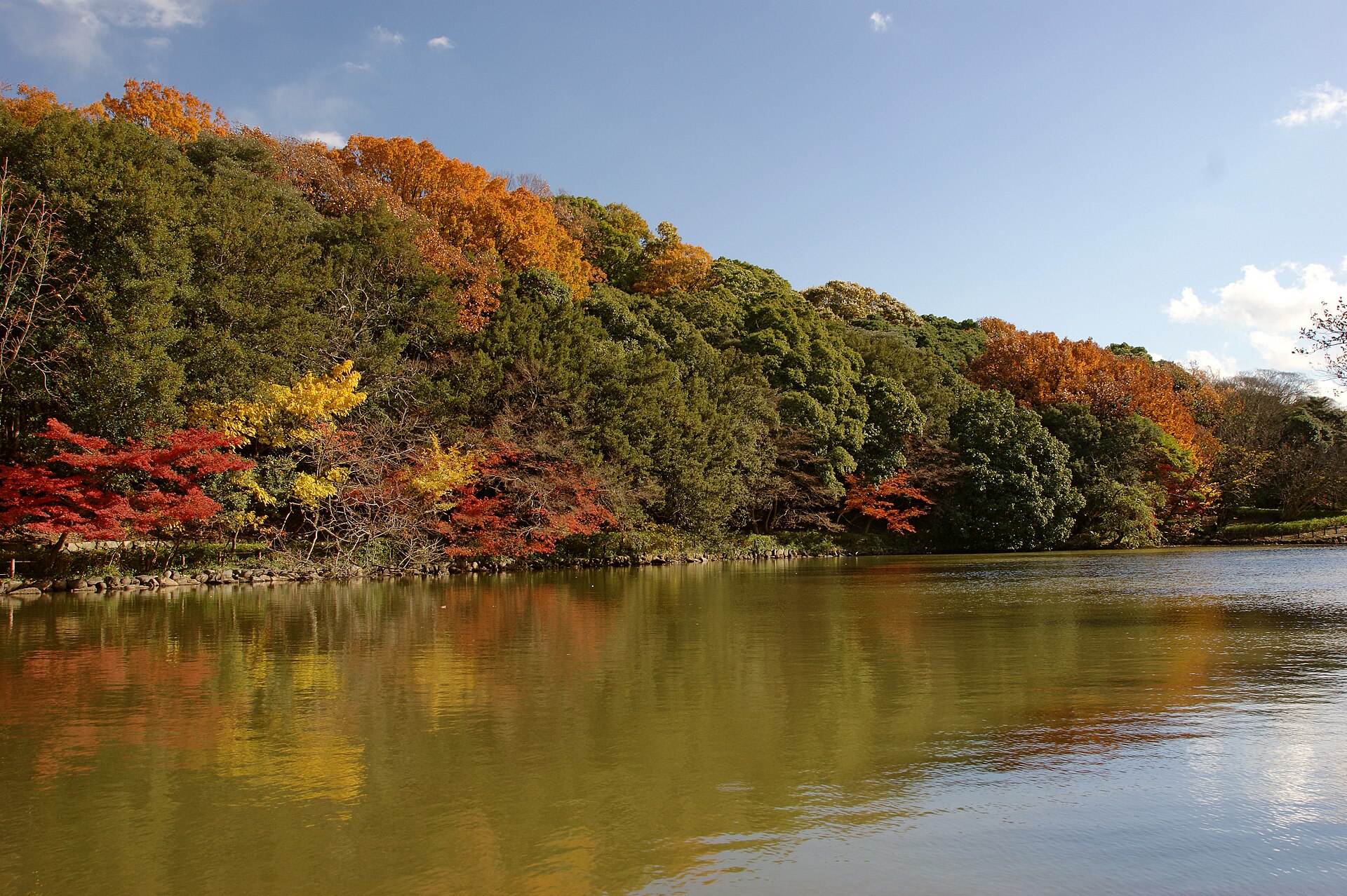明石公園の実写写真。訪問前のイメージ確認用。