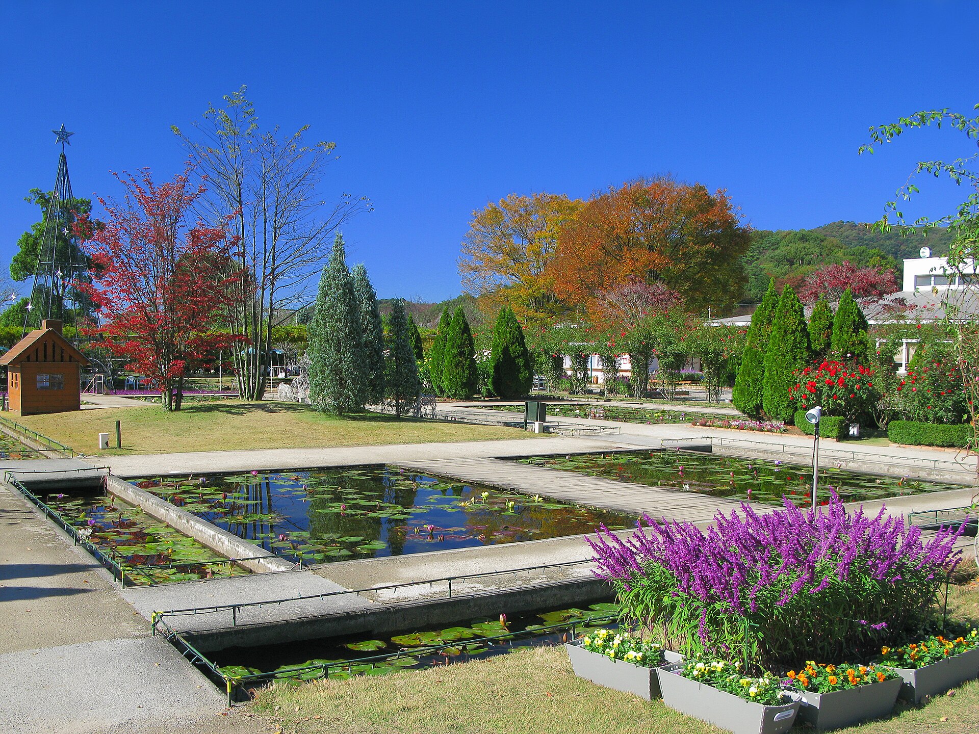 あしかがフラワーパークの実写写真。訪問前のイメージ確認用。