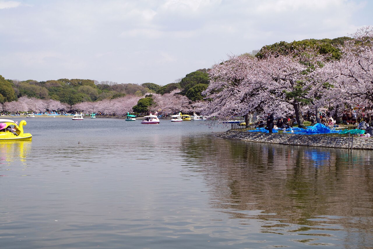 明石公園の別アングルを確認できる実写写真 2
