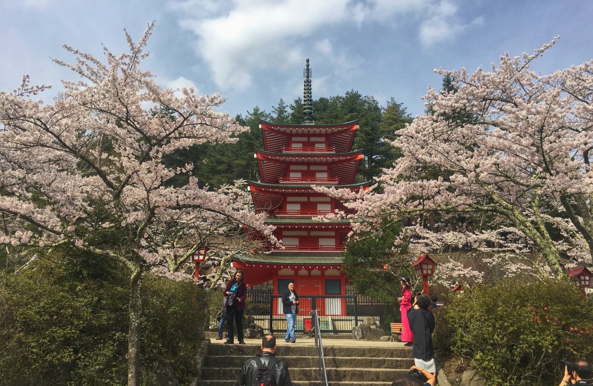 新倉山浅間公園の別アングルを確認できる実写写真 1