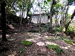 竹林寺の別アングルを確認できる実写写真 2