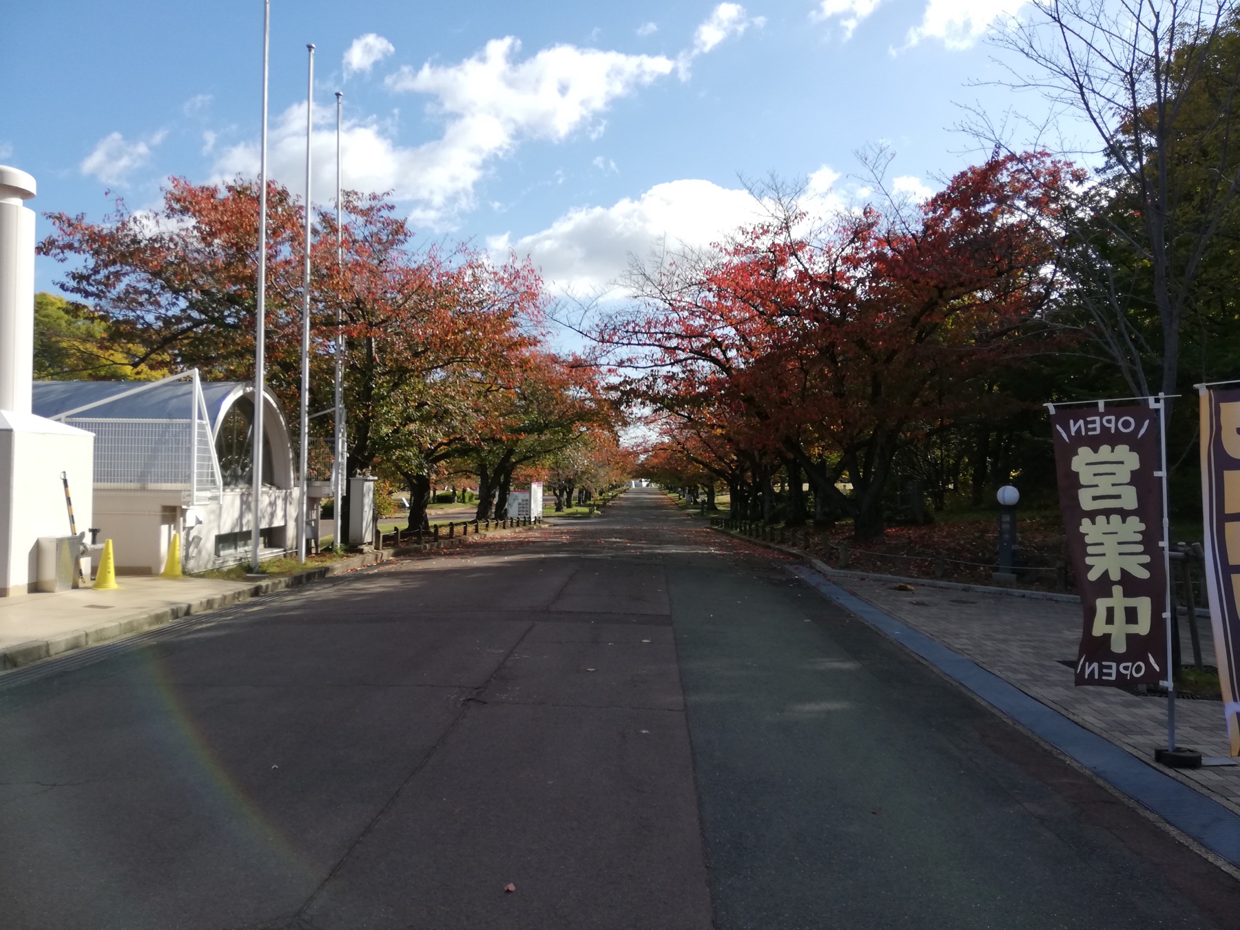 万博記念公園の補助画像として使う実写写真 1