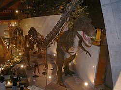 群馬県立自然史博物館の別アングルを確認できる実写写真 2