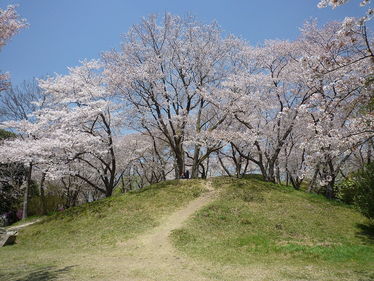 岡山市半田山植物園の別アングルを確認できる実写写真 2