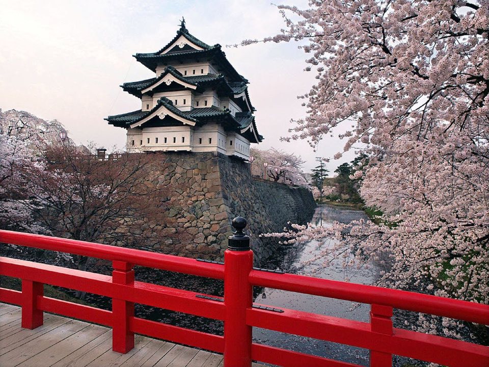 弘前公園の別アングルを確認できる実写写真 1