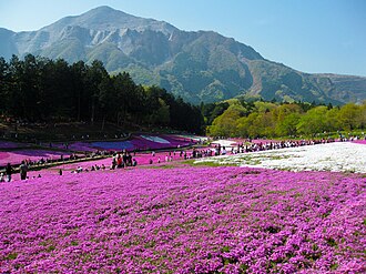 羊山公園の別アングルを確認できる実写写真 1