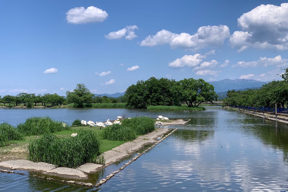 瓢湖水きん公園の別アングルを確認できる実写写真 2