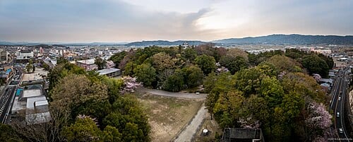 伊賀流忍者博物館の別アングルを確認できる実写写真 1