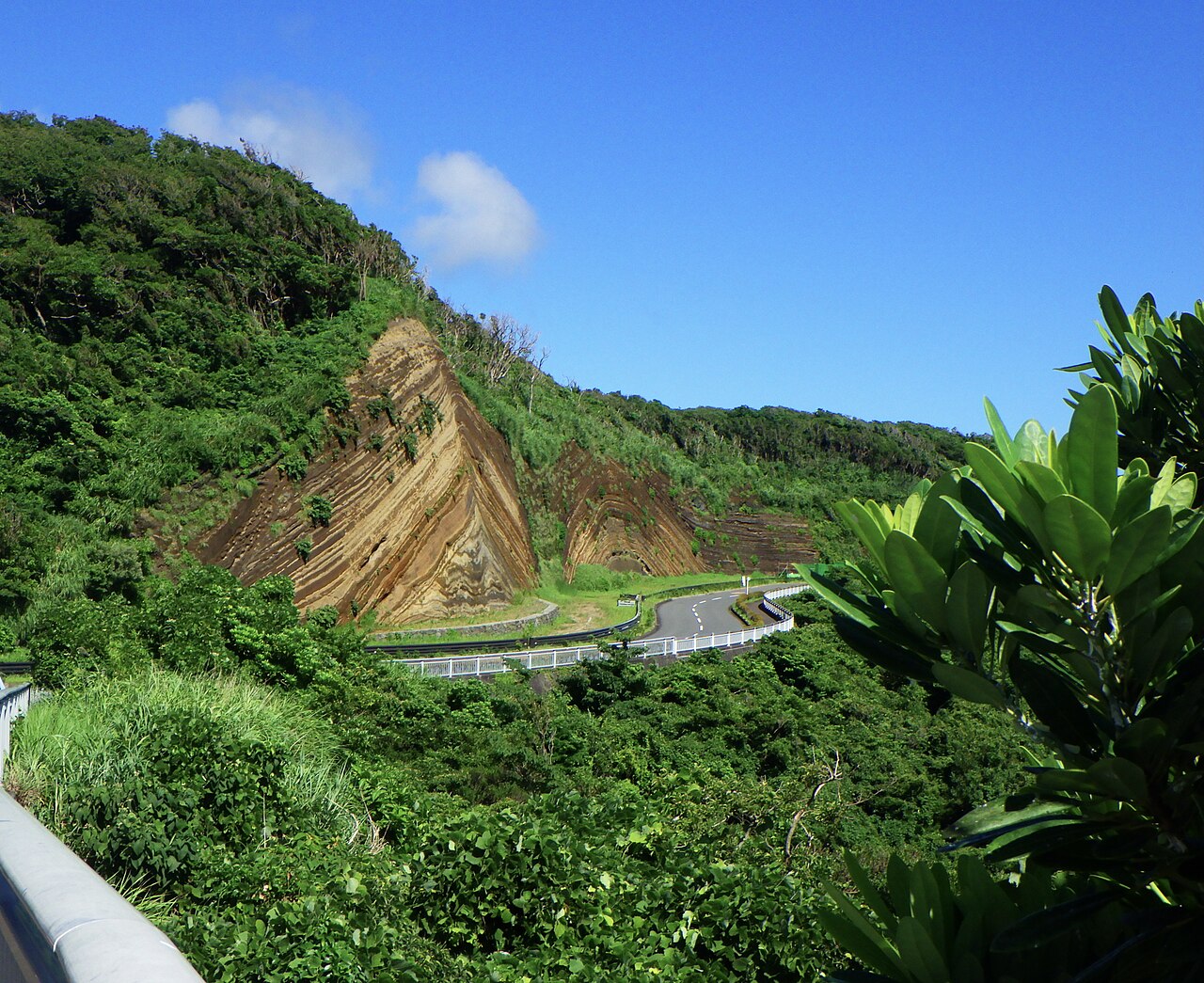 伊豆大島の地層大切断面に続く縞状の火山堆積物を写した実写写真