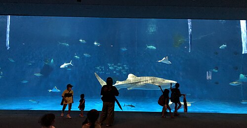 いおワールドかごしま水族館の別アングルを確認できる実写写真 1