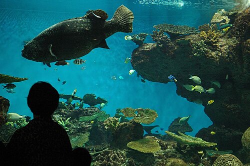 いおワールドかごしま水族館の別アングルを確認できる実写写真 2