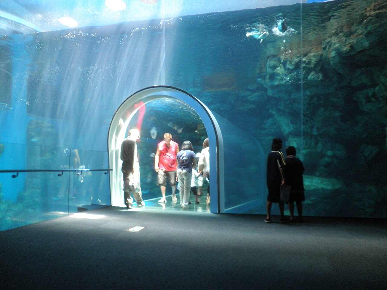 下関市立しものせき水族館「海響館」の別アングルを確認できる実写写真 1