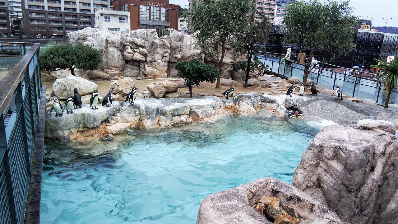 下関市立しものせき水族館「海響館」の別アングルを確認できる実写写真 2