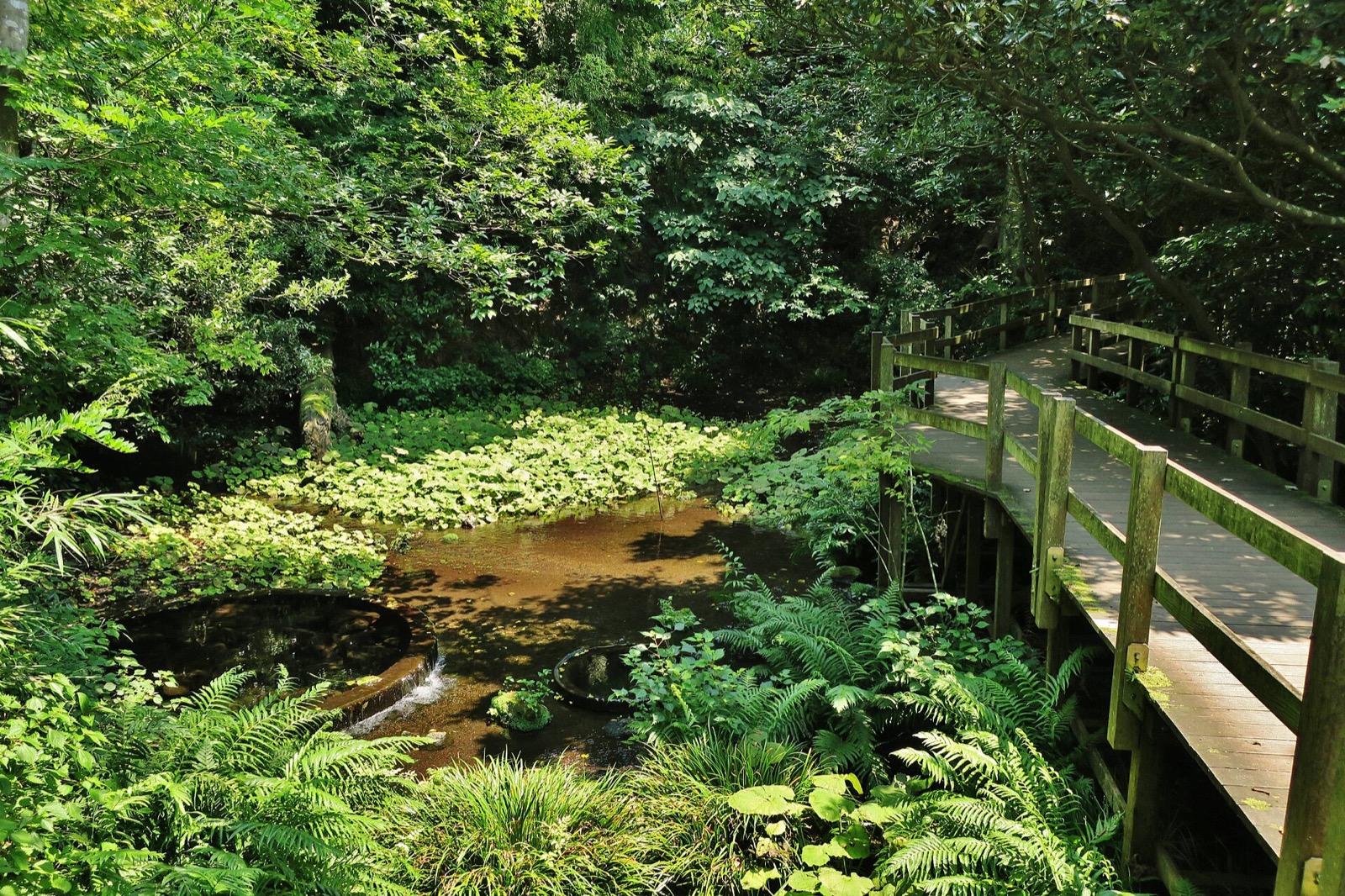 柿田川公園の補助画像として使う実写写真 1