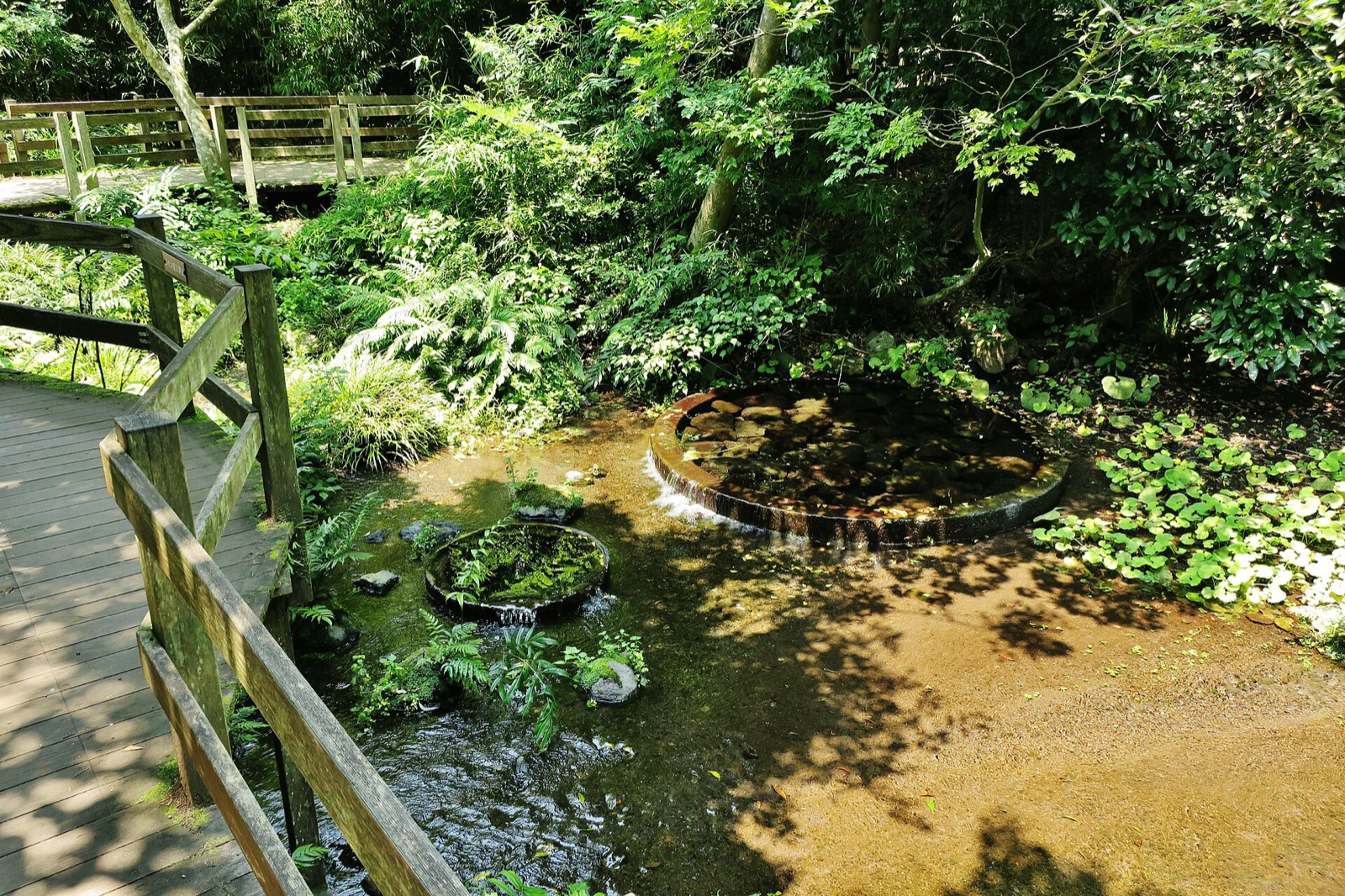 柿田川公園の補助画像として使う実写写真 2
