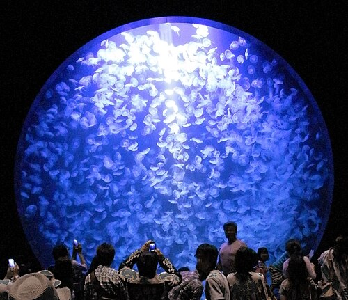 鶴岡市立加茂水族館の別アングルを確認できる実写写真 1