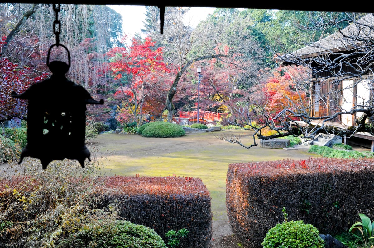 川越大師 喜多院の別アングルを確認できる実写写真 1