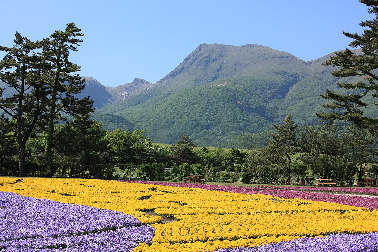 くじゅう花公園の別アングルを確認できる実写写真 1