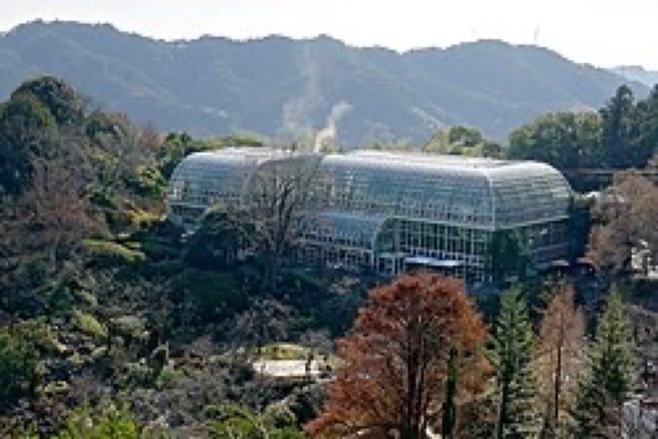 高知県立牧野植物園の別アングルを確認できる実写写真 2