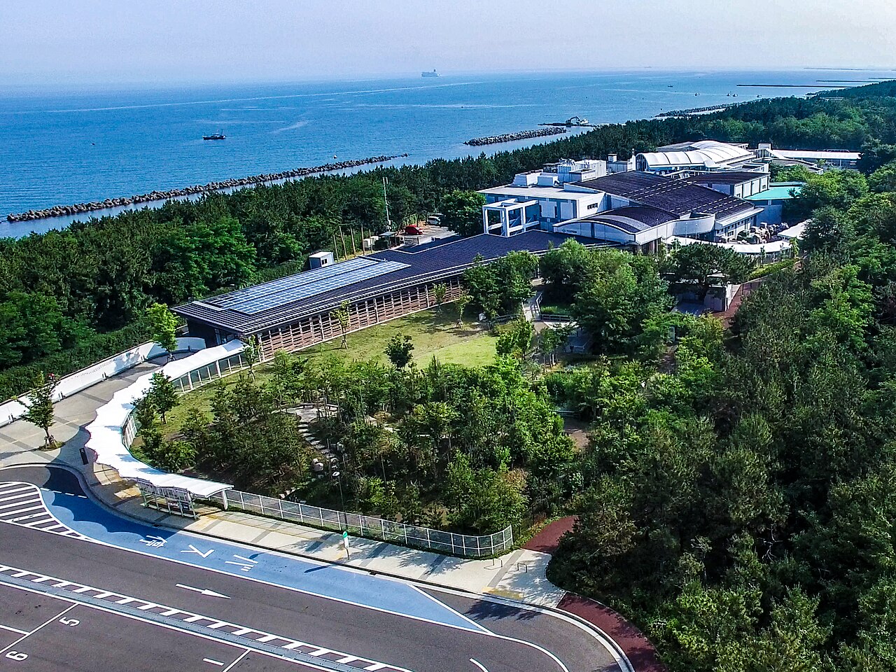 新潟市水族館 マリンピア日本海の別アングルを確認できる実写写真 1
