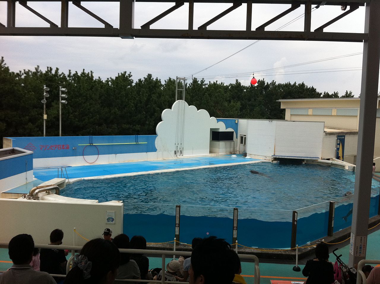 新潟市水族館 マリンピア日本海の別アングルを確認できる実写写真 2