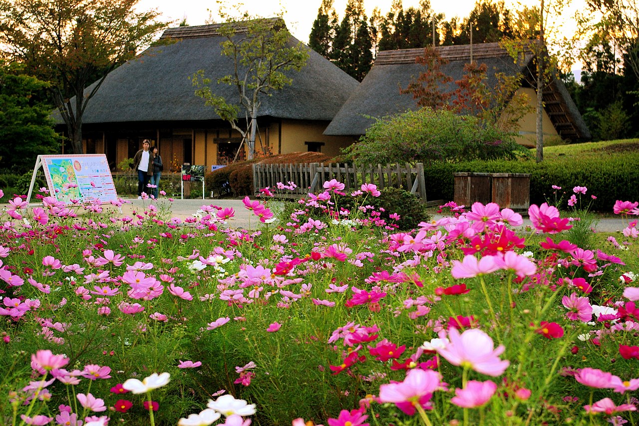 国営みちのく杜の湖畔公園の別アングルを確認できる実写写真 1